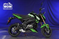 2017-Kawasaki-Z125-BR125-PRO-125-Z125