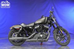 2020-Harley-Davidson®-XL883N-IRON-SPORTSTER-883-XL883N-IRON