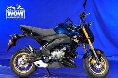 2023-Kawasaki-Z125-BR125-PRO-125-Z125
